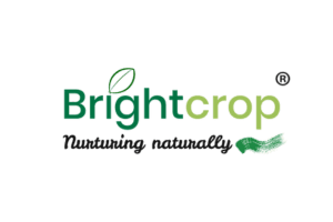 Bright Crop